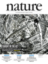 XENON discovery makes Nature Cover Story XENON discovery makes Nature Cover Story