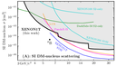 Low-Mass Results from XENON1T