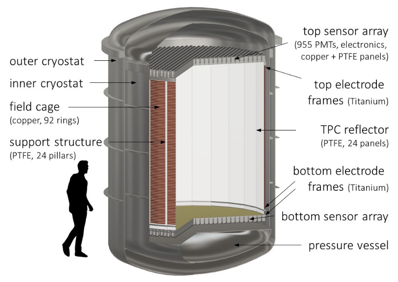 Neutrinoless double beta decay with DARWIN