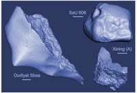 Study on Meteorites using the GeMSE spectrometer